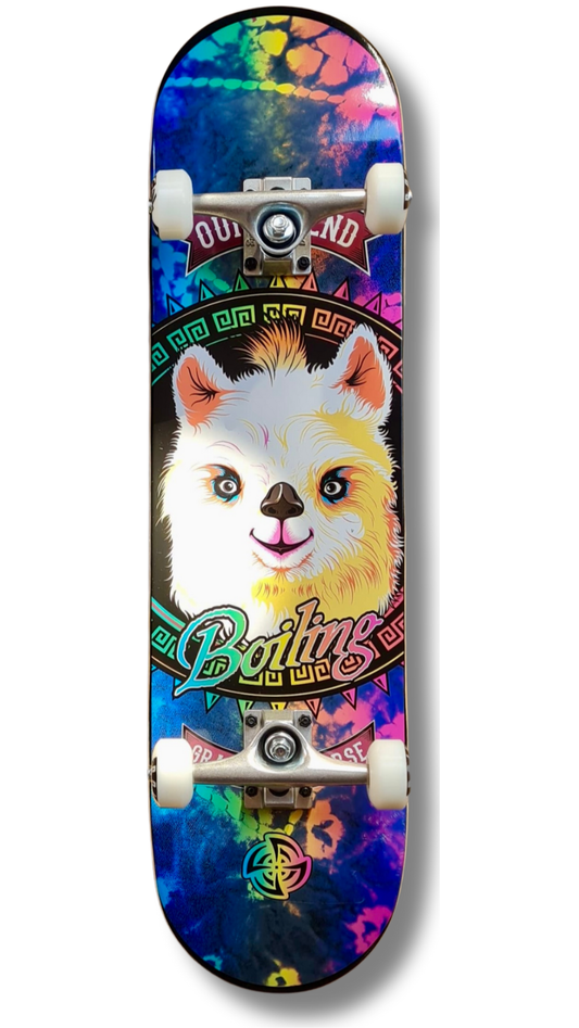 Skate Completo Boiling Mud 9x16